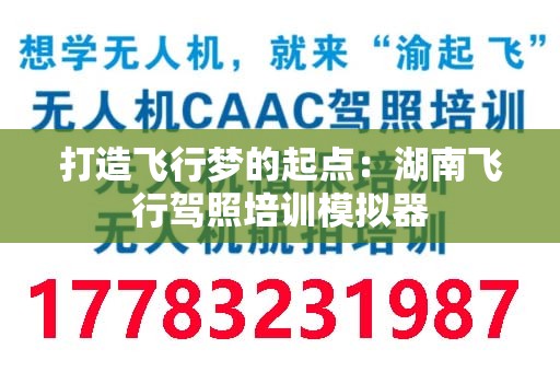 打造飞行梦的起点：湖南飞行驾照培训模拟器