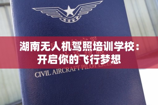 湖南无人机驾照培训学校：开启你的飞行梦想