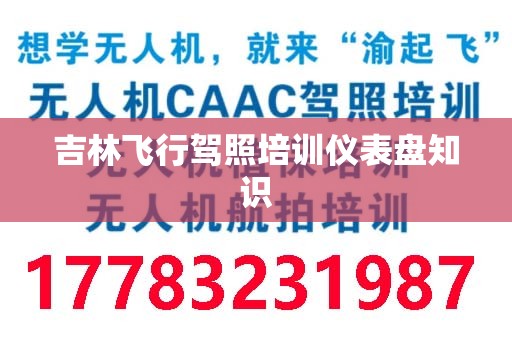 吉林飞行驾照培训仪表盘知识