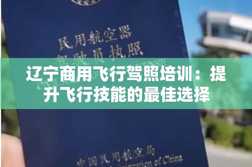 辽宁商用飞行驾照培训：提升飞行技能的最佳选择