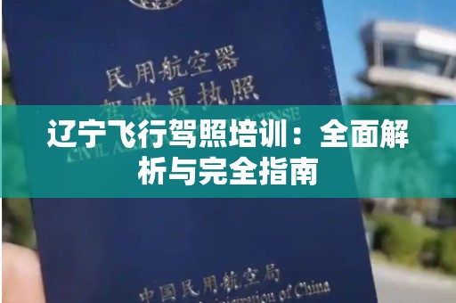 辽宁飞行驾照培训：全面解析与完全指南