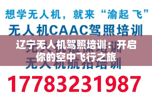 辽宁无人机驾照培训：开启你的空中飞行之旅