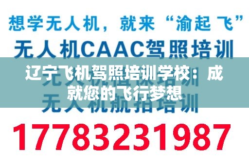 辽宁飞机驾照培训学校：成就您的飞行梦想