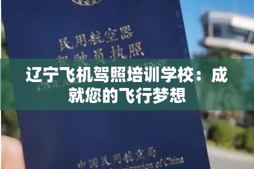 辽宁飞机驾照培训学校：成就您的飞行梦想