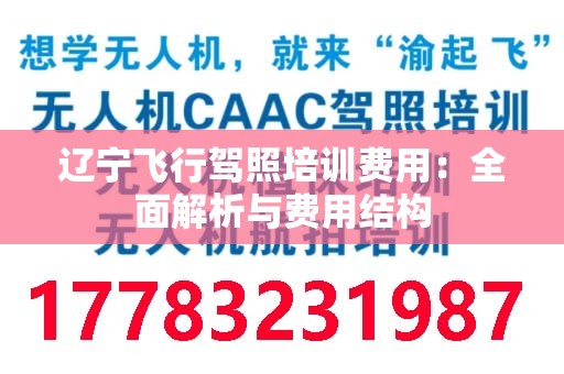 辽宁飞行驾照培训费用：全面解析与费用结构
