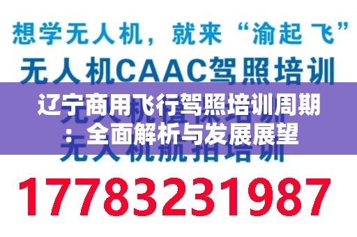 辽宁商用飞行驾照培训周期：全面解析与发展展望