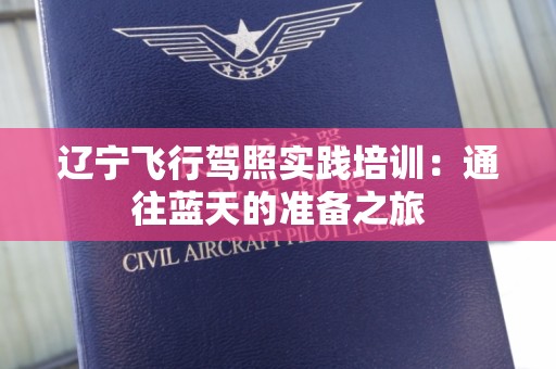 辽宁飞行驾照实践培训：通往蓝天的准备之旅