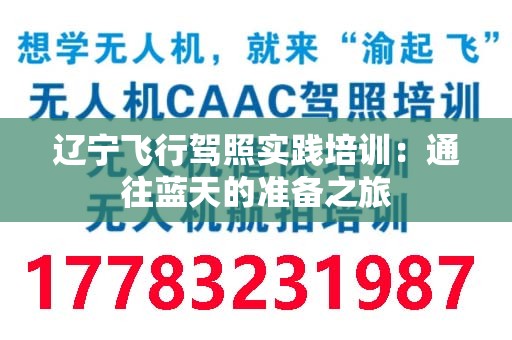 辽宁飞行驾照实践培训：通往蓝天的准备之旅