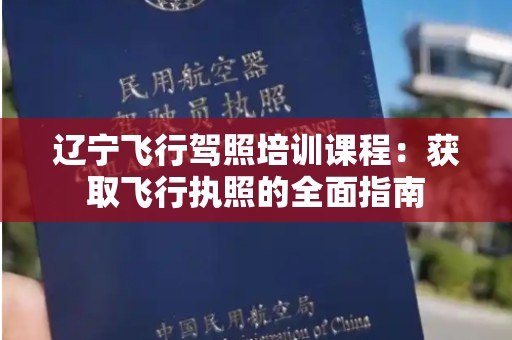 辽宁飞行驾照培训课程：获取飞行执照的全面指南