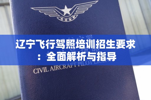 辽宁飞行驾照培训招生要求：全面解析与指导