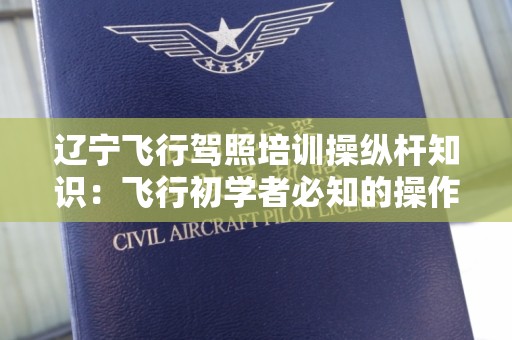 辽宁飞行驾照培训操纵杆知识：飞行初学者必知的操作技巧