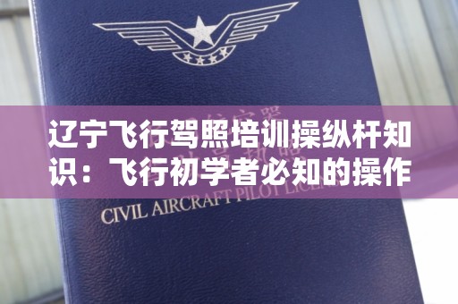 辽宁飞行驾照培训操纵杆知识：飞行初学者必知的操作技巧