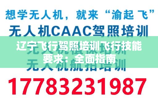 辽宁飞行驾照培训飞行技能要求：全面指南