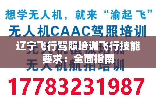 辽宁飞行驾照培训飞行技能要求：全面指南