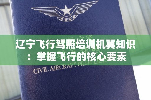 辽宁飞行驾照培训机翼知识：掌握飞行的核心要素