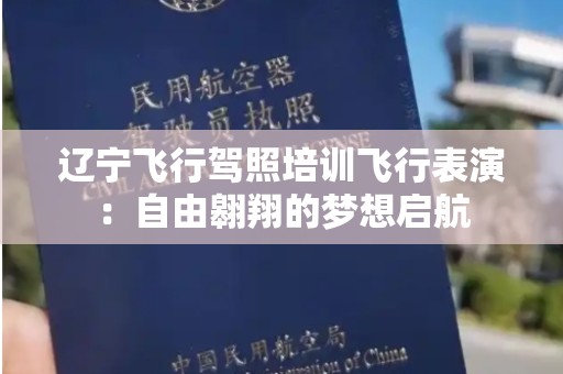 辽宁飞行驾照培训飞行表演：自由翱翔的梦想启航