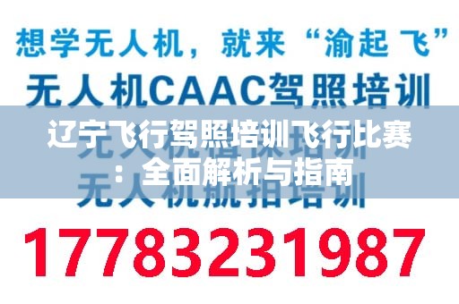 辽宁飞行驾照培训飞行比赛：全面解析与指南
