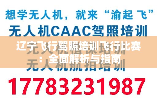 辽宁飞行驾照培训飞行比赛：全面解析与指南