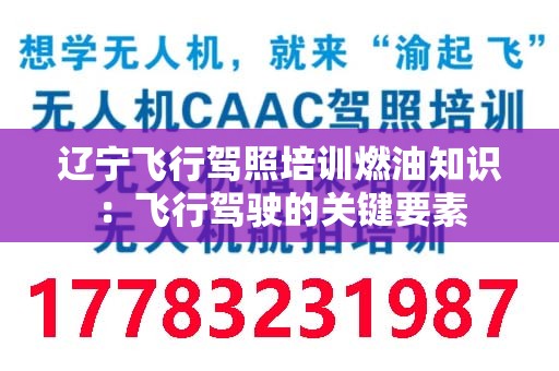 辽宁飞行驾照培训燃油知识：飞行驾驶的关键要素