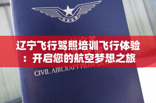 辽宁飞行驾照培训飞行体验：开启您的航空梦想之旅