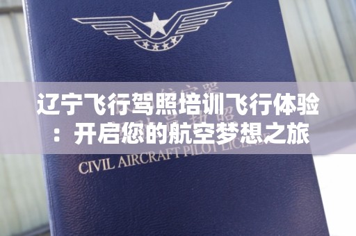辽宁飞行驾照培训飞行体验：开启您的航空梦想之旅
