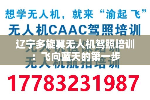 辽宁多旋翼无人机驾照培训：飞向蓝天的第一步