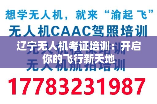 辽宁无人机考证培训：开启你的飞行新天地