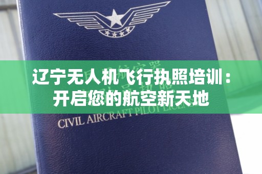 辽宁无人机飞行执照培训：开启您的航空新天地