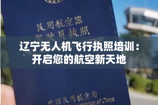 辽宁无人机飞行执照培训：开启您的航空新天地