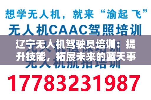 辽宁无人机驾驶员培训：提升技能，拓展未来的蓝天事业
