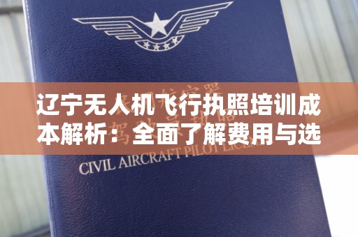 辽宁无人机飞行执照培训成本解析：全面了解费用与选择