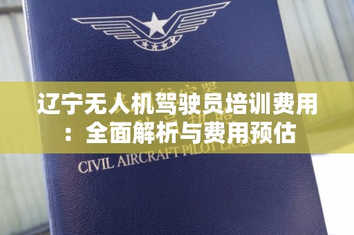 辽宁无人机驾驶员培训费用：全面解析与费用预估