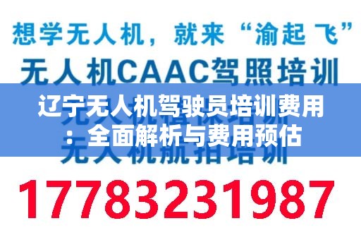 辽宁无人机驾驶员培训费用：全面解析与费用预估