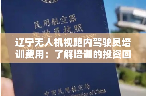辽宁无人机视距内驾驶员培训费用：了解培训的投资回报与市场前景