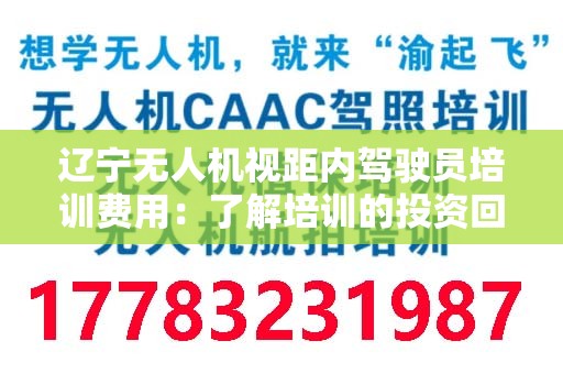 辽宁无人机视距内驾驶员培训费用：了解培训的投资回报与市场前景
