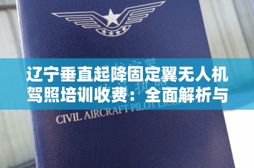 辽宁垂直起降固定翼无人机驾照培训收费：全面解析与指导