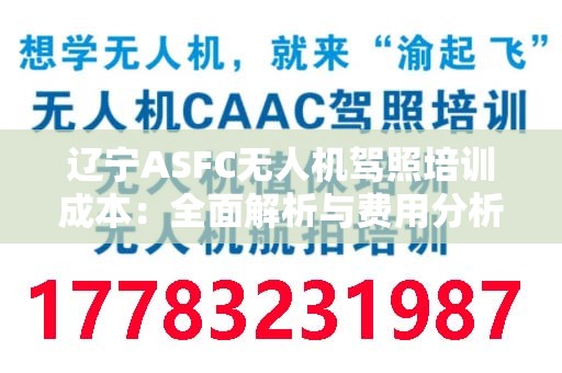 辽宁ASFC无人机驾照培训成本：全面解析与费用分析