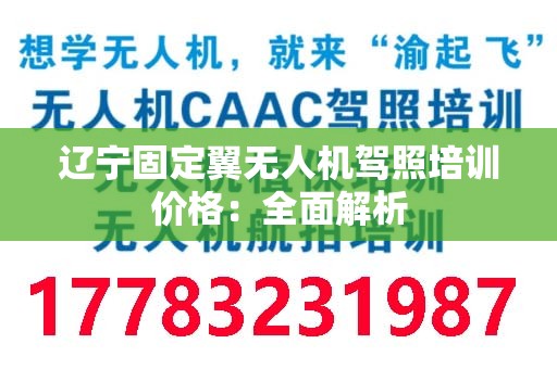 辽宁固定翼无人机驾照培训价格：全面解析