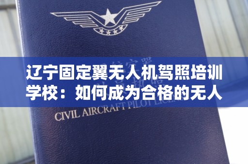 辽宁固定翼无人机驾照培训学校：如何成为合格的无人机驾驶员