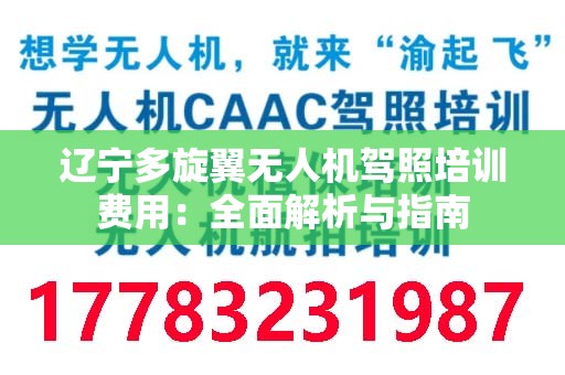 辽宁多旋翼无人机驾照培训费用：全面解析与指南