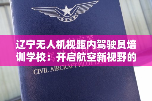 辽宁无人机视距内驾驶员培训学校：开启航空新视野的首选