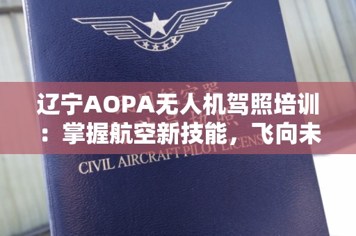 辽宁AOPA无人机驾照培训：掌握航空新技能，飞向未来