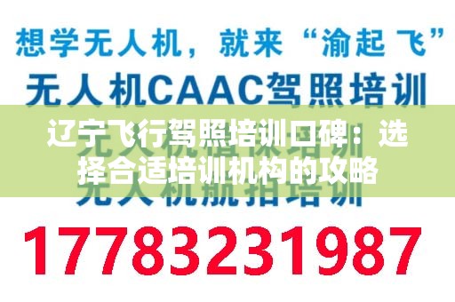辽宁飞行驾照培训口碑：选择合适培训机构的攻略