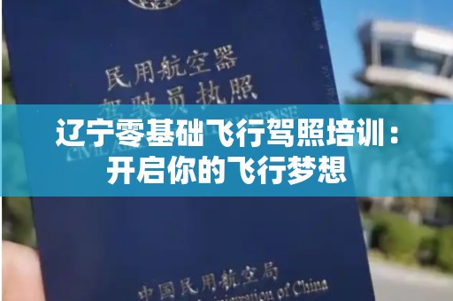 辽宁零基础飞行驾照培训：开启你的飞行梦想