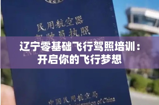 辽宁零基础飞行驾照培训：开启你的飞行梦想