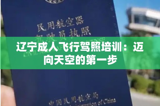 辽宁成人飞行驾照培训：迈向天空的第一步