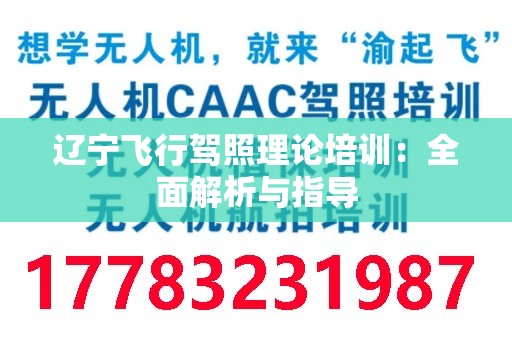 辽宁飞行驾照理论培训：全面解析与指导