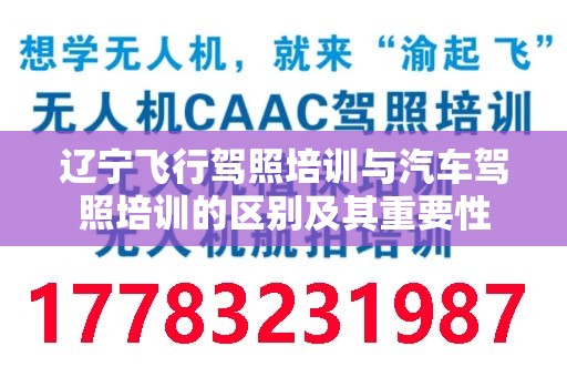 辽宁飞行驾照培训与汽车驾照培训的区别及其重要性