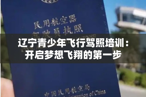 辽宁青少年飞行驾照培训：开启梦想飞翔的第一步