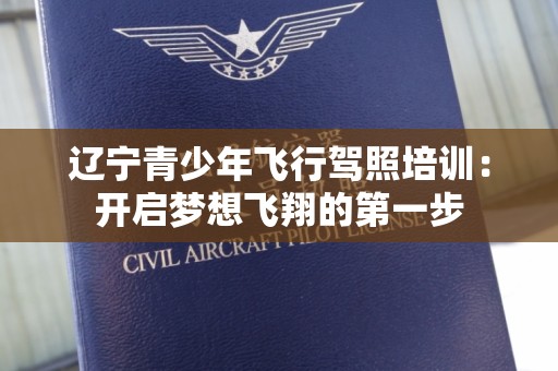 辽宁青少年飞行驾照培训：开启梦想飞翔的第一步